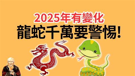 屬比狗|屬猴/雞/狗2025蛇年生肖運程 麥玲玲：屬狗貴人運不錯